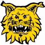 Ilves