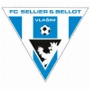 Vlašim